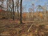  Atv Hilltop Lot H Rd - Photo 8