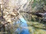  Daddy's Creek Trail - 7.92 Ac. - Photo 8