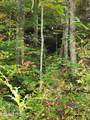  Terry Creek Lane - Photo 10