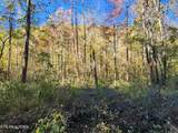  Terry Creek Lane - Photo 11