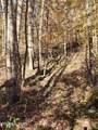  Terry Creek Lane - Photo 15