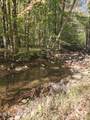  Terry Creek Lane - Photo 5