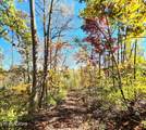 0 Sweetwater Vonore Rd - Photo 21