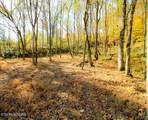 0 Sweetwater Vonore Rd - Photo 8