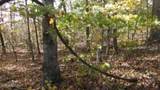 8.60ac Moss Arcot Rd - Photo 44