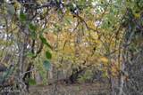 10.70ac Red Oak Ridge Rd - Photo 21