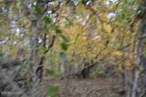 10.70ac Red Oak Ridge Rd - Photo 22