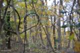 10.70ac Red Oak Ridge Rd - Photo 24