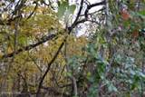 10.70ac Red Oak Ridge Rd - Photo 27