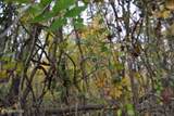 10.70ac Red Oak Ridge Rd - Photo 28