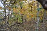 10.70ac Red Oak Ridge Rd - Photo 33