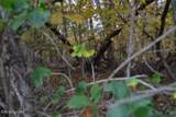 10.70ac Red Oak Ridge Rd - Photo 34
