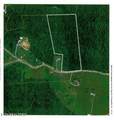 10.70ac Red Oak Ridge Rd - Photo 37