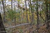 10.70ac Red Oak Ridge Rd - Photo 9