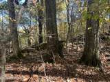 0 Polly Mtn Rd - Photo 11