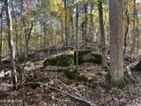 0 Polly Mtn Rd - Photo 12