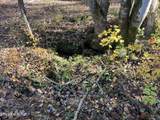 0 Polly Mtn Rd - Photo 17