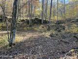 0 Polly Mtn Rd - Photo 18