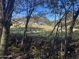 0 Polly Mtn Rd - Photo 19