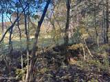0 Polly Mtn Rd - Photo 20