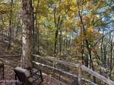0 Polly Mtn Rd - Photo 3