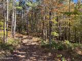0 Polly Mtn Rd - Photo 31