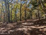 0 Polly Mtn Rd - Photo 45