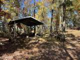 0 Polly Mtn Rd - Photo 49