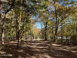 0 Polly Mtn Rd - Photo 5