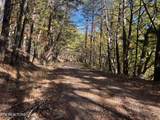 0 Polly Mtn Rd - Photo 6