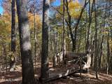 0 Polly Mtn Rd - Photo 7