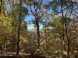 0 Polly Mtn Rd - Photo 8