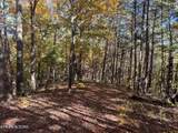 0 Polly Mtn Rd - Photo 9