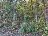  Falling Leaf Rd - Photo 13