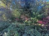  Falling Leaf Rd - Photo 17