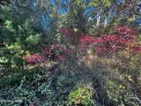  Falling Leaf Rd - Photo 20