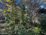  Falling Leaf Rd - Photo 6