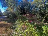  Falling Leaf Rd - Photo 8