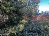  Falling Leaf Rd - Photo 9