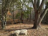 3265 Leatherwood Ford Rd - Photo 6