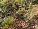 00 River Road - Photo 31