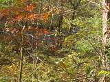 00 River Road - Photo 35