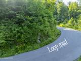  Loop Rd - Photo 54