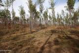 10 Acres N Nopone Valley Rd. - Photo 10