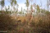 10 Acres N Nopone Valley Rd. - Photo 5