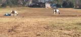 844 Seed Tick Rd - Photo 4