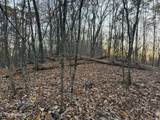 Lot 214 Clinch View Rd - Photo 17