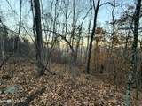 Lot 214 Clinch View Rd - Photo 19