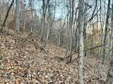 Lot 214 Clinch View Rd - Photo 24