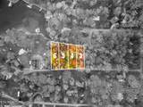  Lakeville Drive - Photo 26